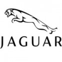 Jaguar Pre-Cut Sunstrips